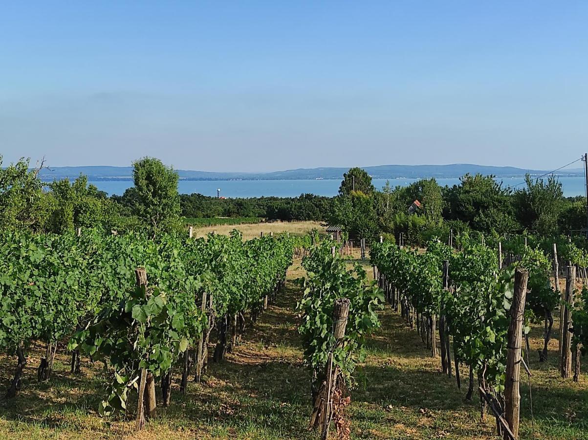Kishaz A Szolohegyen Leilighet Balatonakali Eksteriør bilde